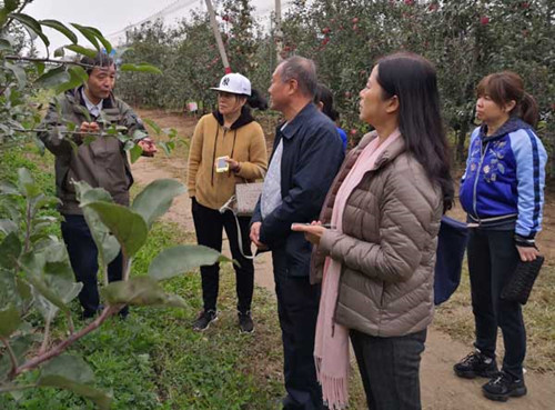 1 在白水苹果试验站感受科技兴农新成果.jpg