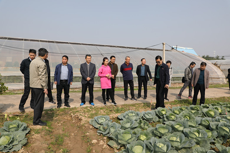 b4ce18b9bb4b4e66a0ae8deac70a5121.jpg 参观阎良现代农业试验示范站_副本.jpg