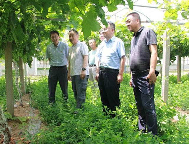13在添缘现代农业园区进行调研.jpg