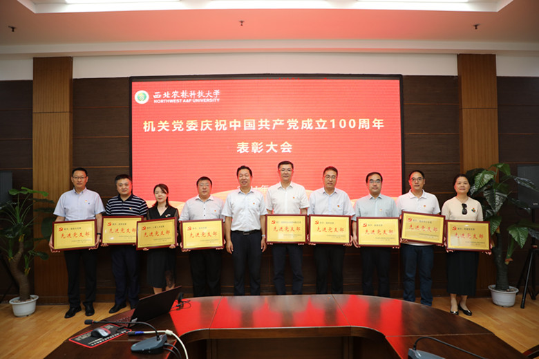 79c3bd0dc8f24dc2a8339b41ca76dcd4.jpg 校党委副书记徐养福为受表彰的机关先进党支部颁奖.jpg